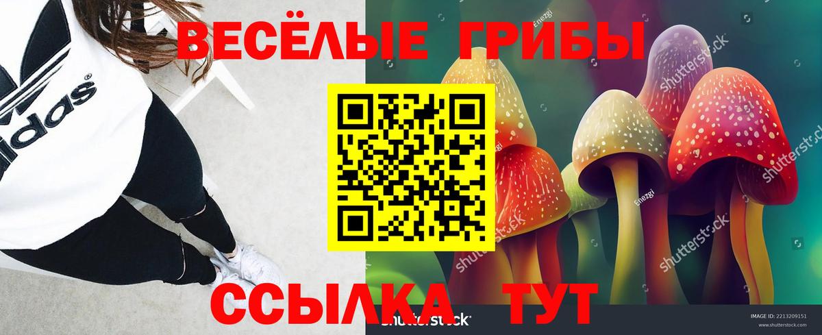 Галлюциногенные грибы мухоморы Унеча