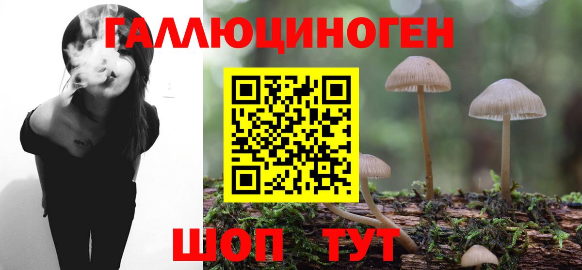 Унеча  Галлюциногенные грибы ЛСД  Вход с VPN  Галлюциногенные грибы мухоморы 
